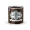 ALL-IN-ONE Gel Stain, No Sanding or Sealer needed, Oil Based for Interior/Exterior use